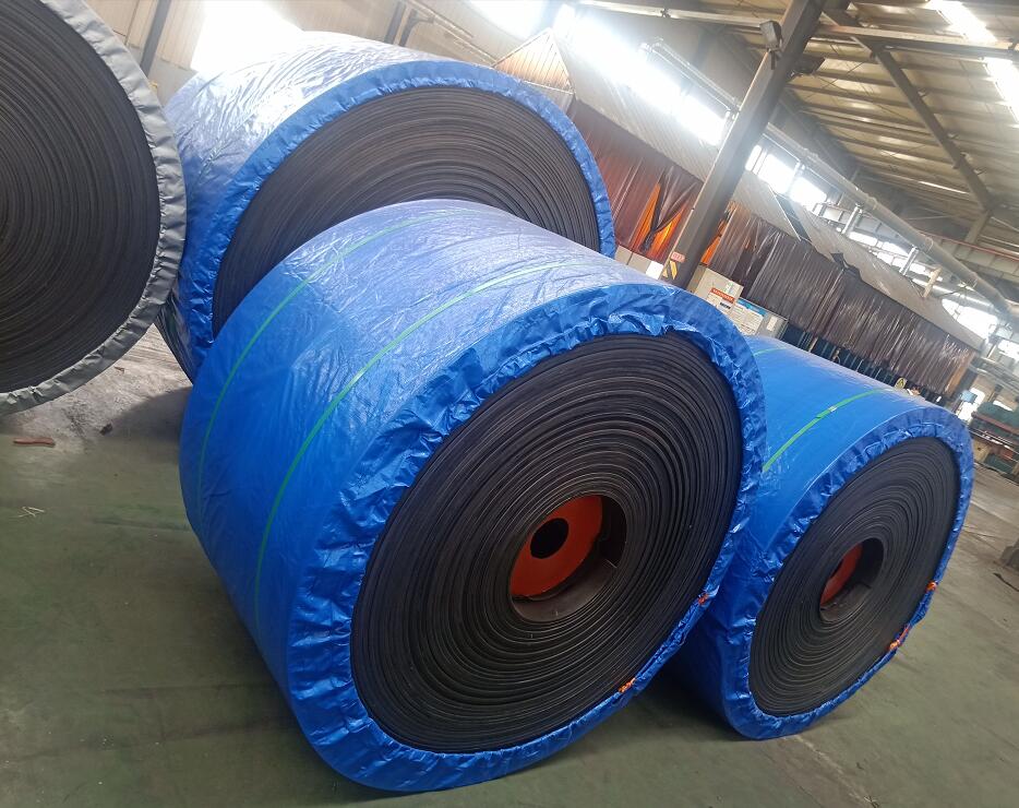 好色先生黄色视频TV质量判断